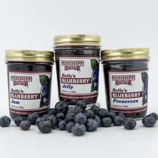 9oz blueberry jam, 9 oz blueberry jelly, 9 oz blueberry preserves with blueberries in the foreground