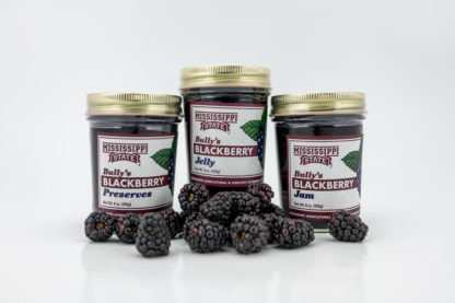 9 oz blackberry preserves, 9 oz blackberry jelly, 9 oz blackberry jam surrounded by blackberries