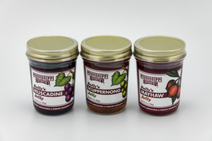 muscadine, scuppernong, mayhew jelly