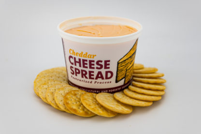 22 oz cheddar spread surrounded by crackers