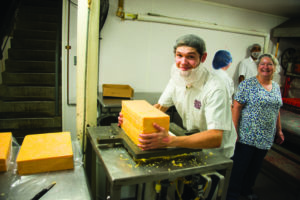 cutting blocks of cheddar cheese